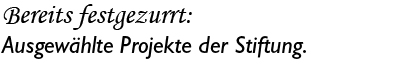Bereits festgezurrt: Ausgewaehlte Projekte der Stiftung.